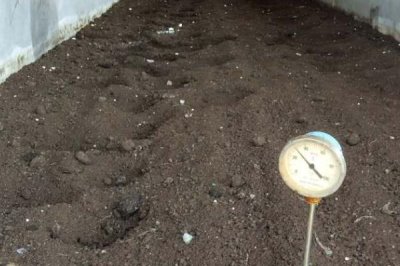 养鸡场鸡粪怎么处理,一般作肥料使用