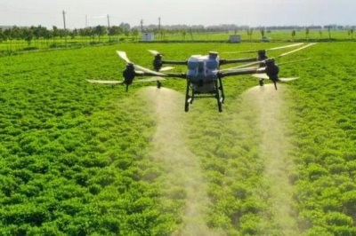 打除草剂多久再打营养药,要间隔半个月左右