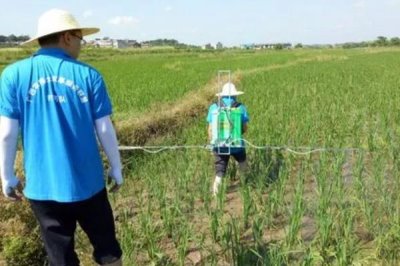 敌草隆的适用范围,主要用于水稻、棉花、大豆等作物