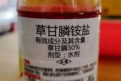 什么除草剂可以打死瓜蒌,通常用草甘膦
