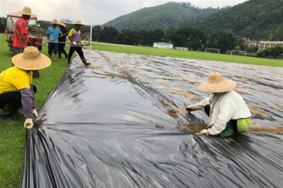 快速除草又省力省时的方式，可喷施药剂