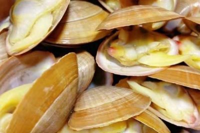 蛤蜊的品种,市面上常见以下10种