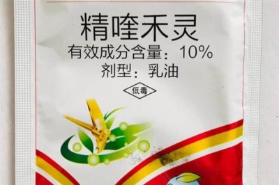 精喹禾灵对下茬作物的影响,对下茬作物基本没有影响