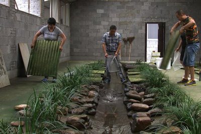 石蛙苗的养殖方法，每天上午、下午均投喂一次