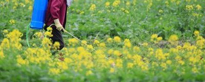 草除灵的防治对象，野燕麦、早熟禾、看麦娘等杂草均可灭杀