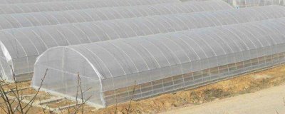塑料棚膜有哪些种类，包括有色薄膜、PE复合多功能棚膜等类型