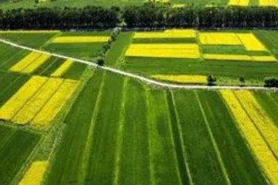 三农工作的重要性,能保持经济持续健康发展