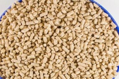 养猪怎么节省饲料，选择一个好的品种很重要