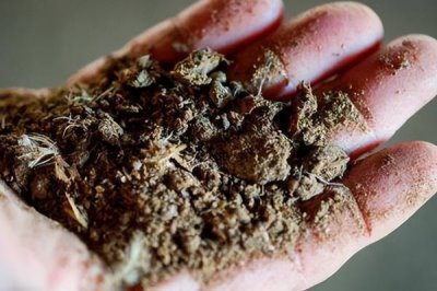 农家肥和化肥有什么区别,来源、作用和肥效均不同