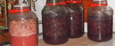 酿制葡萄酒的方法,采摘后需经过多道工序处理才能装瓶