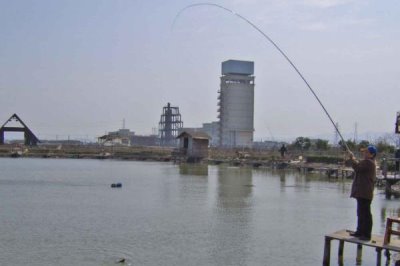 怎么钓鲶鱼,建议提前2-3天打窝