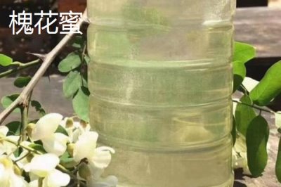 桉树蜜是什么颜色,多呈琥珀色或深琥珀色