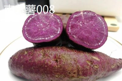 紫薯有哪些品种,以下10种产量高抗病能力强