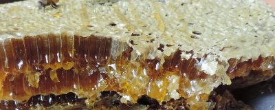 纯土蜂蜜的价格，实际售价因地区而异