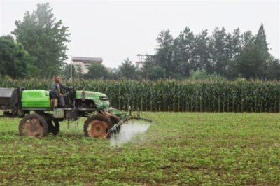 壮根剂的用法，苗床育苗时每株约用1-2克