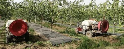 如何正确施用果园苗圃除草剂，可采用喷雾法、毒土法