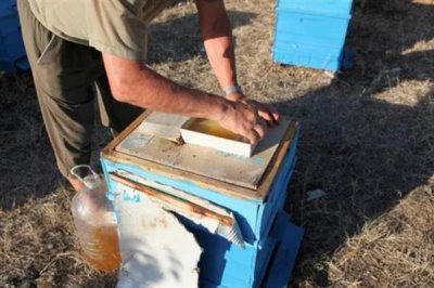 中华蜜蜂怎么养殖,温度较高时要在蜂箱四周洒水降温