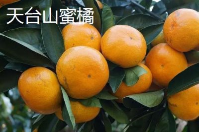 浙江省诸暨市的特产,同山烧被誉为“江南小茅台”