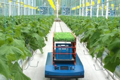 2025年农村创业致富项目,院落绿化成为热门行业