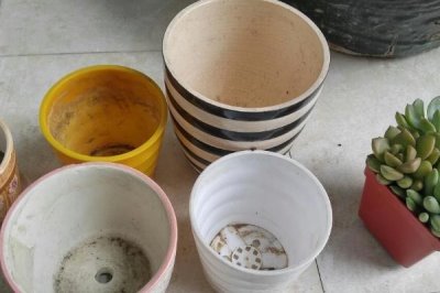 秋季能换花盆吗,只要养护措施跟得上亦可换盆
