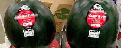 天价水果有哪些，一颗日本草莓的售价达到900元左右