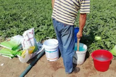 生物肥与水溶肥有什么区别,定义、成分、用法均不同