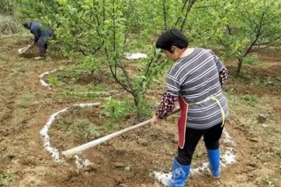 施复合肥有哪些注意事项,高浓度复合肥主要用在经济作物上