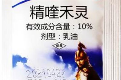 精喹禾灵对下茬作物的影响,对下茬作物基本没有影响