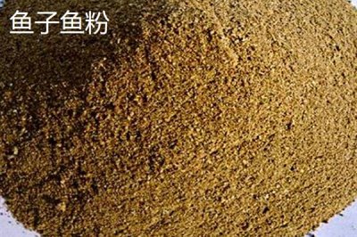 河北海兴县的特产，有鱼子鱼粉、海兴冬枣等