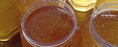 乌桕蜜和荔枝蜜哪个好,后者的色泽和口感都更优