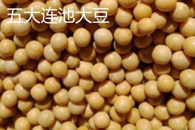 黑龙江五大连池市的特产，连池鸭蛋适合馈赠亲友