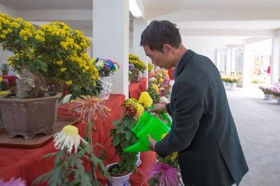 如何防治菊花黑斑病，养殖过程中要定期更换盆土