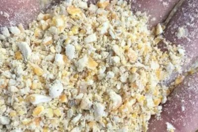 养殖绿头鸭的前景，现今市场需求大前景广阔