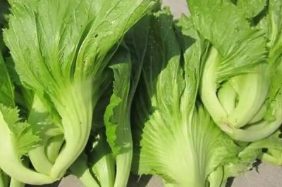 哪些作物的种植前景比较好,当前可以考虑蓝宝石葡萄、白草莓、秋葵等果蔬