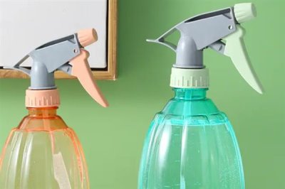 石蒜的浇水方法，春季每隔3-5天浇一次