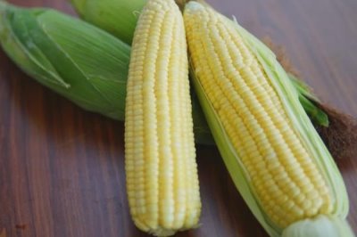 水果玉米的产地,可以直接生吃