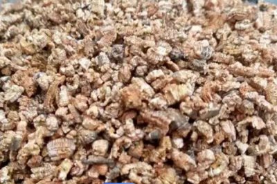 什么是花木扦插常用的基质,常用的有泥炭土、珍珠岩、蛭石等