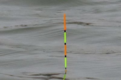 钓鲫鱼实用技巧,一年四季都可以作钓