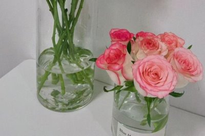 玫瑰的花期持续时间，开花时长为15-30天左右