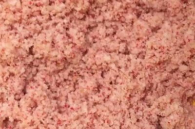 鲶鱼喜欢吃的食物是什么，喜欢吃小型鱼类、虾类、软体动物、水生昆虫等食物