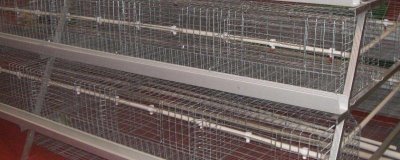 鸡笼如何搭建，根据鸡的数量来确定大小