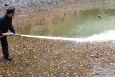 鲫鱼怎么养殖才能长得快，鱼苗长到15厘米以后需补充蛋白质