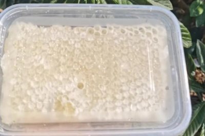 枇杷蜜口感怎样,甜润适口并略带杏仁香味