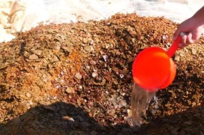 判断饼肥是否完成发酵的方法,轻微成团、散发出酵甜味便表示成功发酵