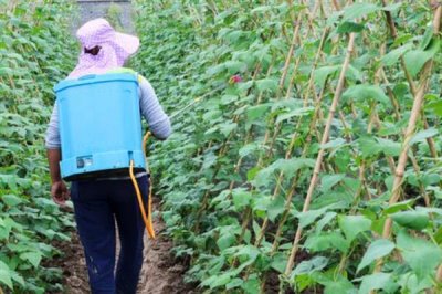 防治蚜虫用什么药，马拉硫磷、杀螟松、抗蚜威等药物均可起到灭杀效果