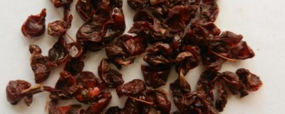 山茱萸种子怎么催芽,主要用浸泡方式