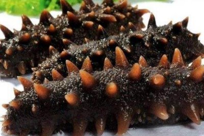 山东龙口市的特产，龙口烤画的收藏和艺术价值较高