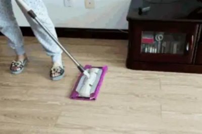 如何去除猫尿骚味，可以选择更加吸味的猫砂