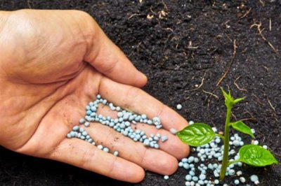 生物肥与水溶肥有什么区别,定义、成分、用法均不同