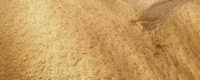 稻谷和玉米的储存年限，长江以南、以北储存期不一致